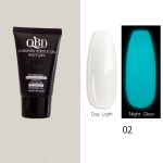 QBD LUMINOUS Acrylic Gel Polygel 15ml N-2
